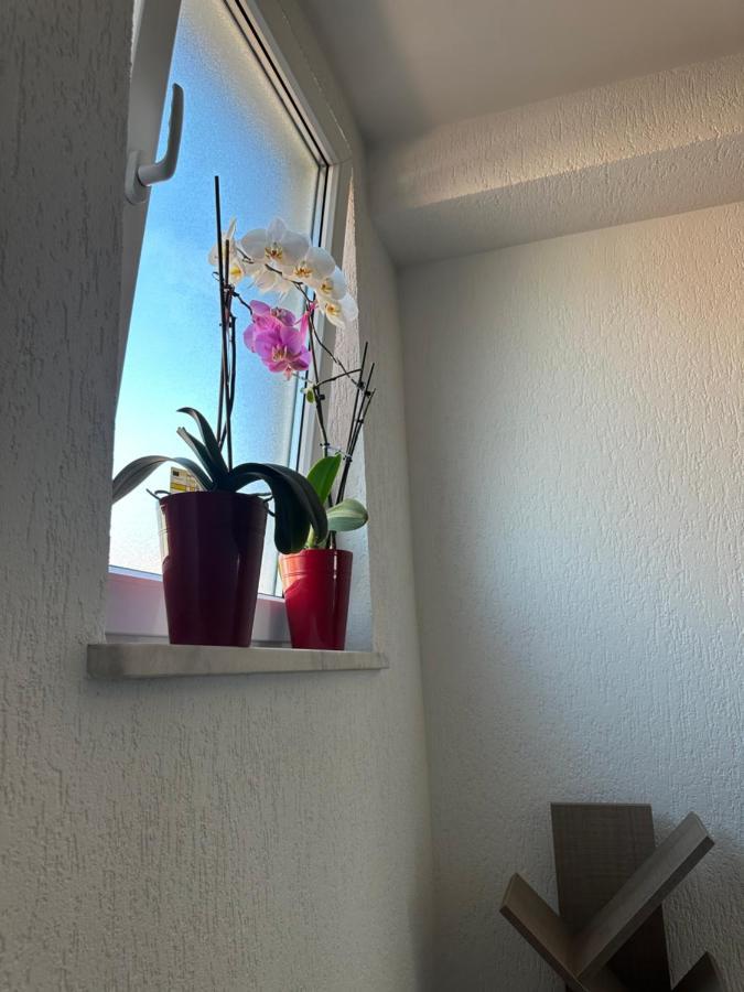 Spacious 3-Bedroom Condo Next To City Center Pristina Eksteriør billede